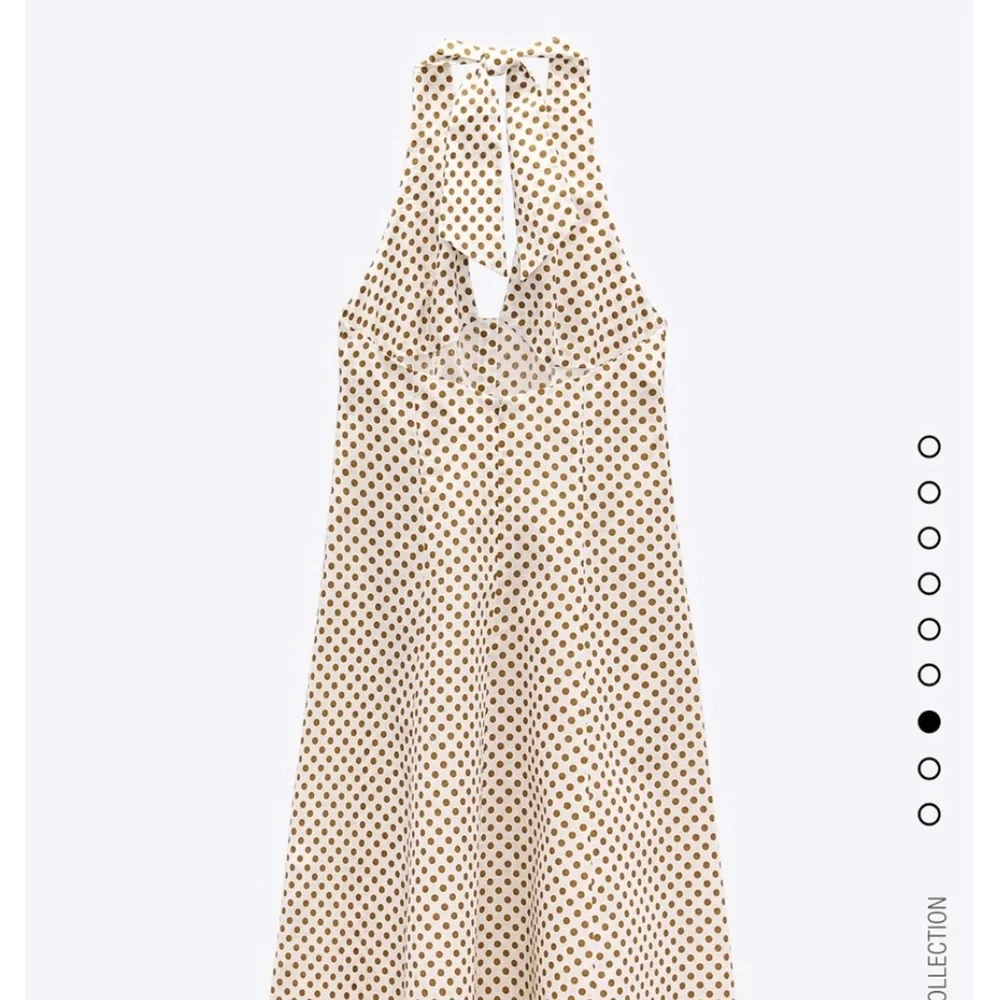 Zara polka dot dress bloggers fav - Picture 13 of 16